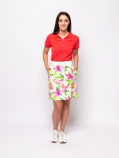 tropic