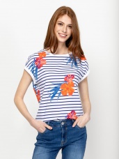FLORIS